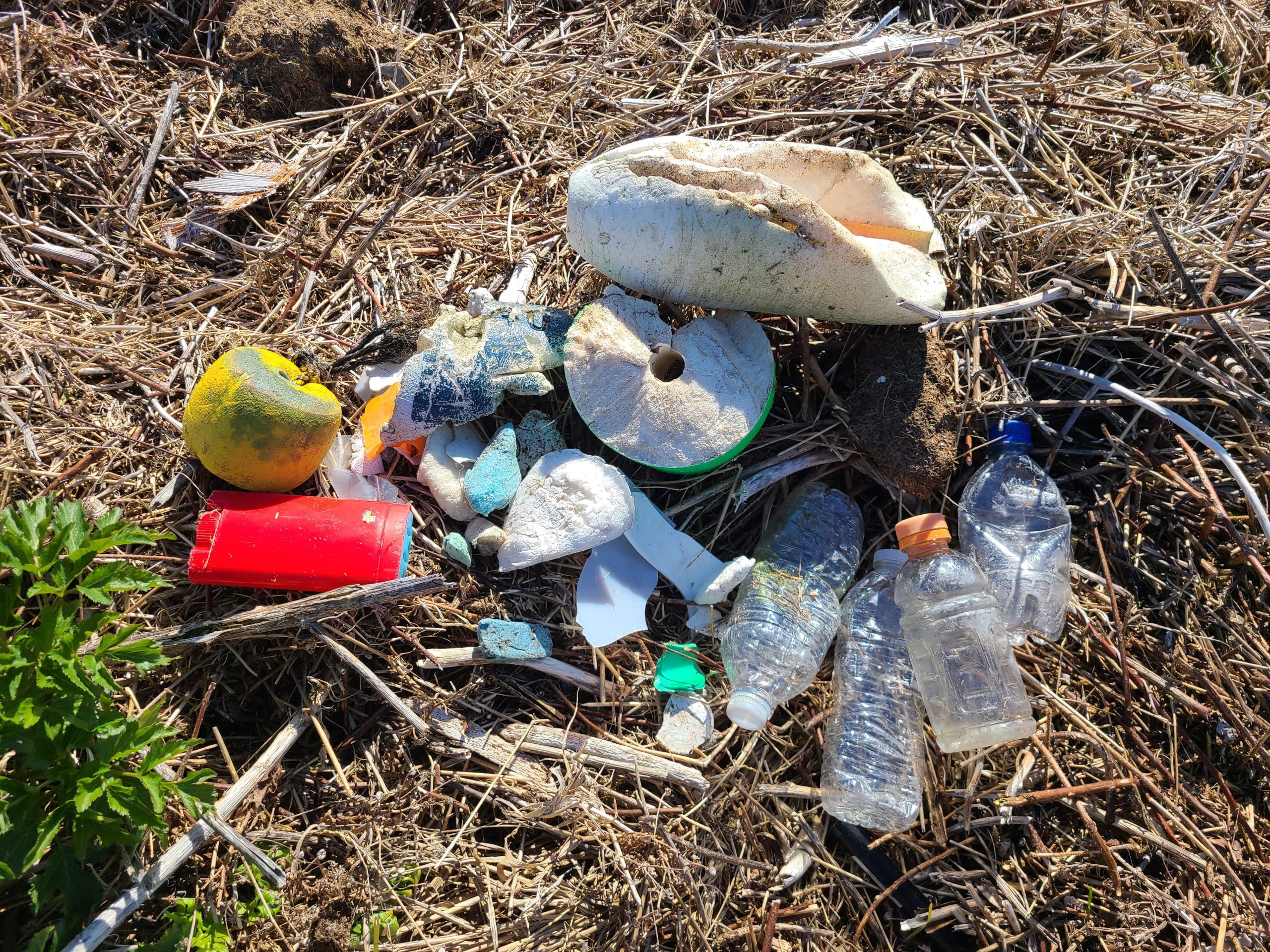 Image of beach trash including pieces of foam and plastic